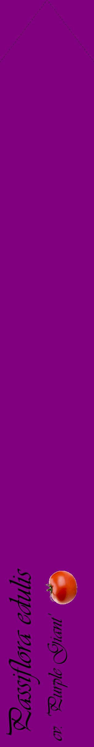 Étiquette de : Passiflora edulis cv. 'Purple Giant' - format c - style noire46_simpleviv avec comestibilité simplifiée