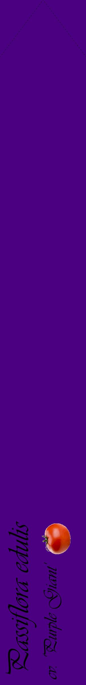 Étiquette de : Passiflora edulis cv. 'Purple Giant' - format c - style noire47_simpleviv avec comestibilité simplifiée