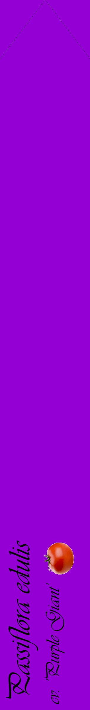 Étiquette de : Passiflora edulis cv. 'Purple Giant' - format c - style noire48_simpleviv avec comestibilité simplifiée