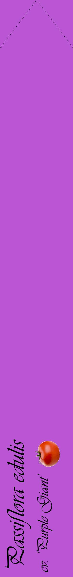 Étiquette de : Passiflora edulis cv. 'Purple Giant' - format c - style noire50_simpleviv avec comestibilité simplifiée