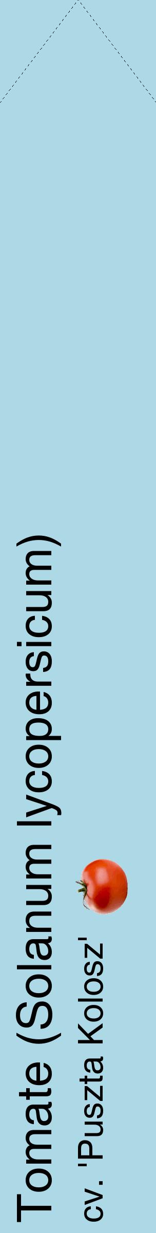 Étiquette de : Solanum lycopersicum cv. 'Puszta Kolosz' - format c - style noire0_simplehel avec comestibilité simplifiée