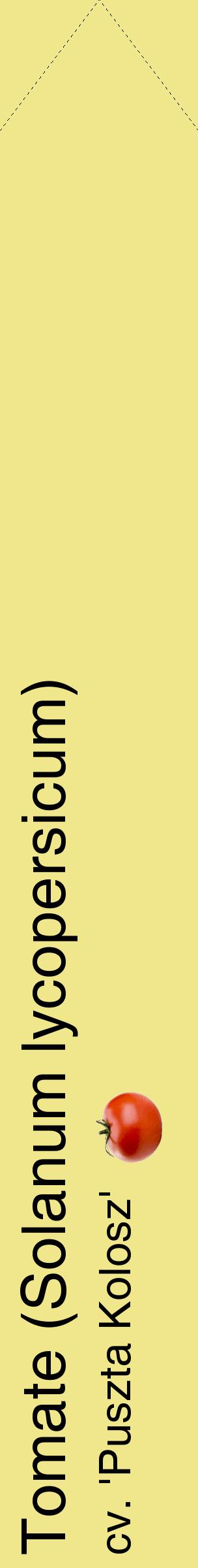 Étiquette de : Solanum lycopersicum cv. 'Puszta Kolosz' - format c - style noire20_simplehel avec comestibilité simplifiée
