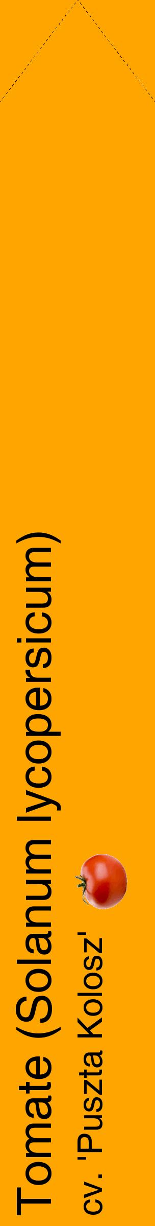 Étiquette de : Solanum lycopersicum cv. 'Puszta Kolosz' - format c - style noire22_simplehel avec comestibilité simplifiée