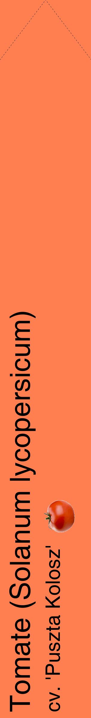 Étiquette de : Solanum lycopersicum cv. 'Puszta Kolosz' - format c - style noire24_simplehel avec comestibilité simplifiée