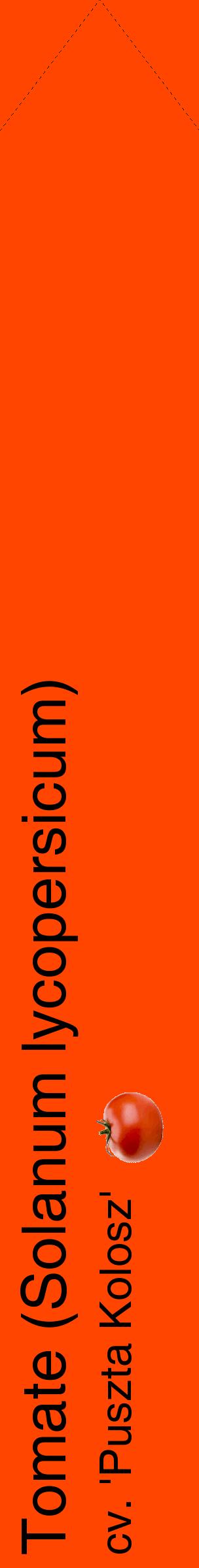 Étiquette de : Solanum lycopersicum cv. 'Puszta Kolosz' - format c - style noire26_simplehel avec comestibilité simplifiée