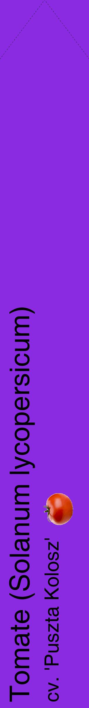 Étiquette de : Solanum lycopersicum cv. 'Puszta Kolosz' - format c - style noire49_simplehel avec comestibilité simplifiée