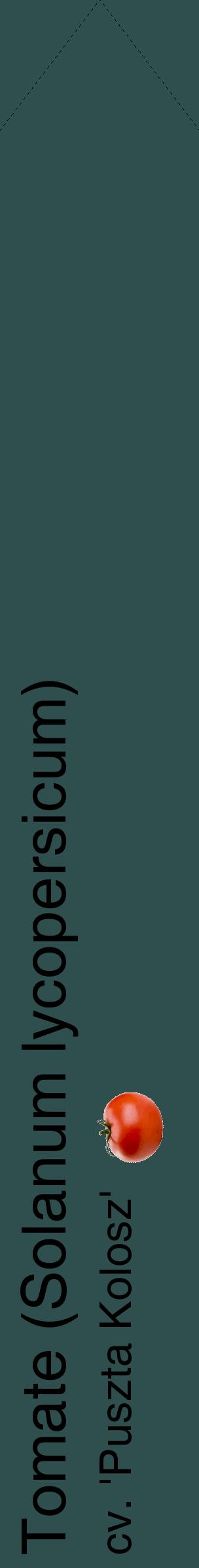 Étiquette de : Solanum lycopersicum cv. 'Puszta Kolosz' - format c - style noire58_simplehel avec comestibilité simplifiée