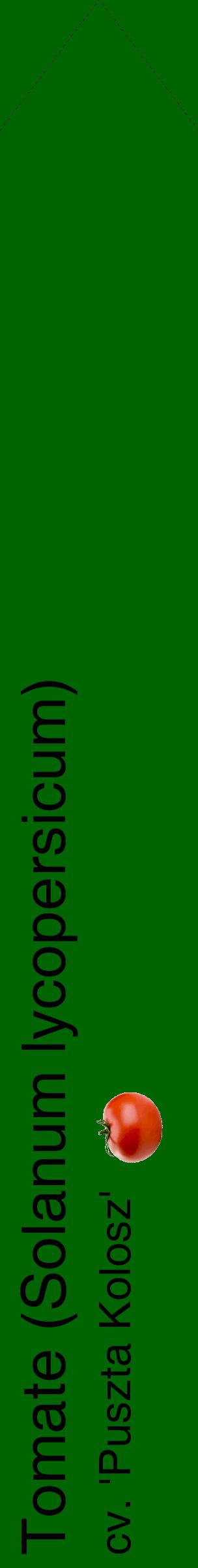 Étiquette de : Solanum lycopersicum cv. 'Puszta Kolosz' - format c - style noire8_simplehel avec comestibilité simplifiée