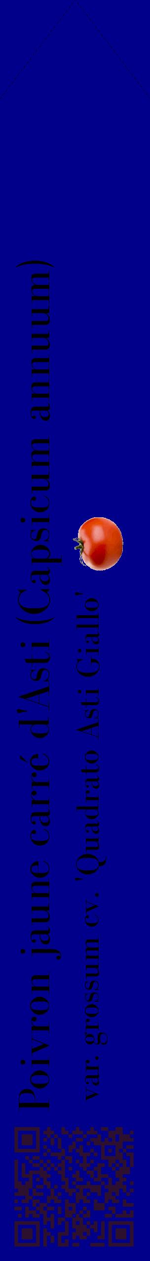 Étiquette de : Capsicum annuum var. grossum cv. 'Quadrato Asti Giallo' - format c - style noire7_simplebod avec qrcode et comestibilité simplifiée