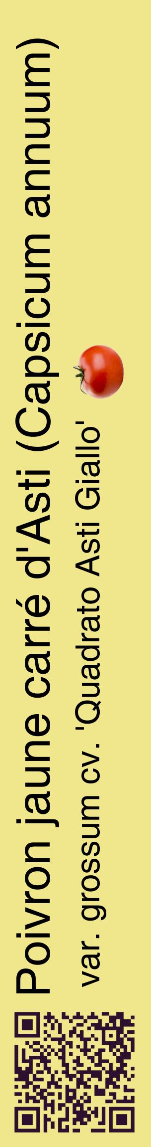 Étiquette de : Capsicum annuum var. grossum cv. 'Quadrato Asti Giallo' - format c - style noire20_basiquehel avec qrcode et comestibilité simplifiée
