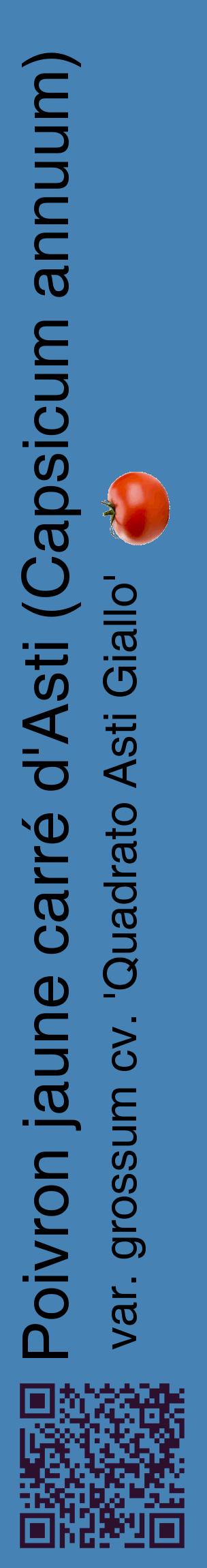 Étiquette de : Capsicum annuum var. grossum cv. 'Quadrato Asti Giallo' - format c - style noire5_basiquehel avec qrcode et comestibilité simplifiée