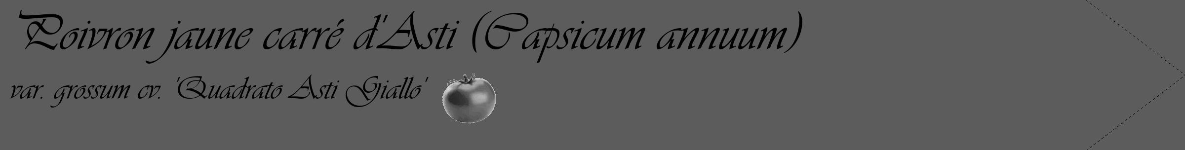 Étiquette de : Capsicum annuum var. grossum cv. 'Quadrato Asti Giallo' - format c - style noire49_simple_simpleviv avec comestibilité simplifiée