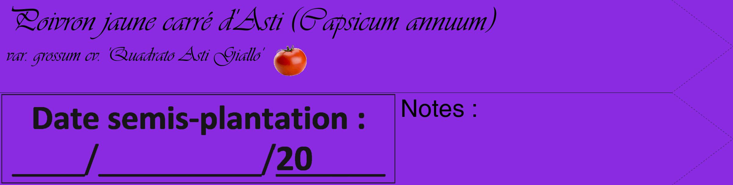 Étiquette de : Capsicum annuum var. grossum cv. 'Quadrato Asti Giallo' - format c - style noire49_simple_simpleviv avec comestibilité simplifiée