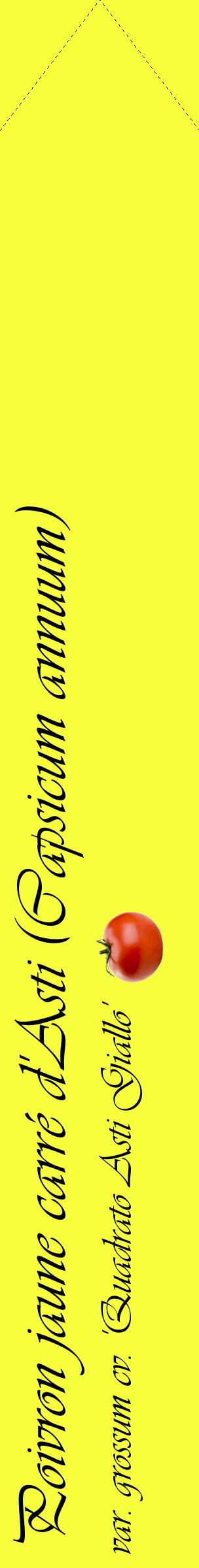 Étiquette de : Capsicum annuum var. grossum cv. 'Quadrato Asti Giallo' - format c - style noire18_simpleviv avec comestibilité simplifiée
