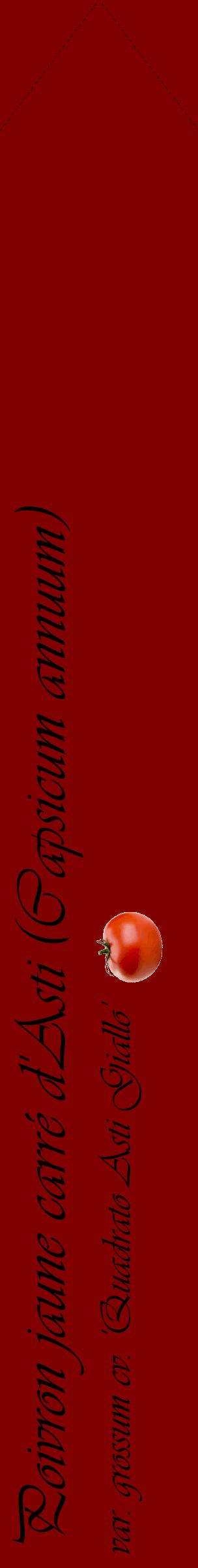 Étiquette de : Capsicum annuum var. grossum cv. 'Quadrato Asti Giallo' - format c - style noire29_simpleviv avec comestibilité simplifiée