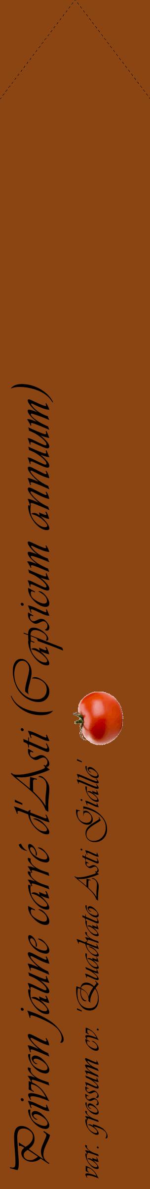 Étiquette de : Capsicum annuum var. grossum cv. 'Quadrato Asti Giallo' - format c - style noire30_simpleviv avec comestibilité simplifiée