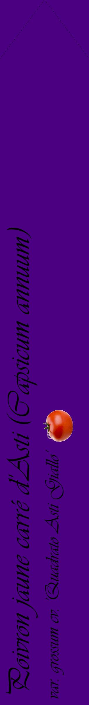 Étiquette de : Capsicum annuum var. grossum cv. 'Quadrato Asti Giallo' - format c - style noire47_simpleviv avec comestibilité simplifiée