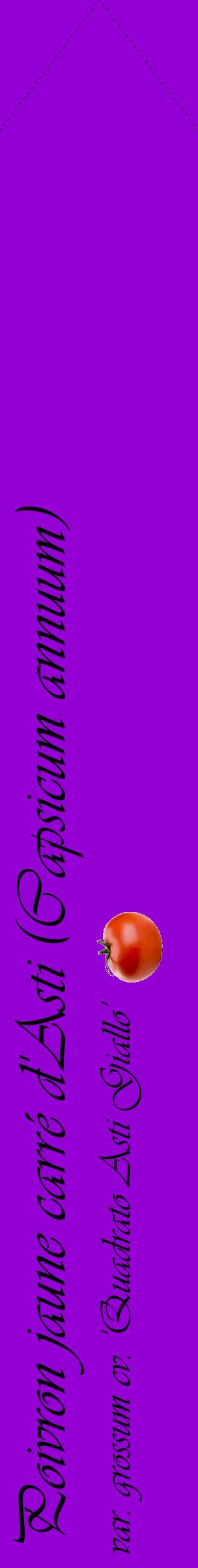 Étiquette de : Capsicum annuum var. grossum cv. 'Quadrato Asti Giallo' - format c - style noire48_simpleviv avec comestibilité simplifiée