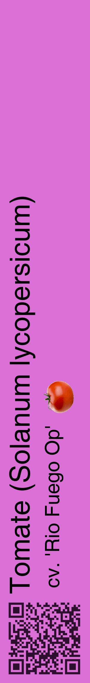 Étiquette de : Solanum lycopersicum cv. 'Rio Fuego Op' - format c - style noire52_basiquehel avec qrcode et comestibilité simplifiée
