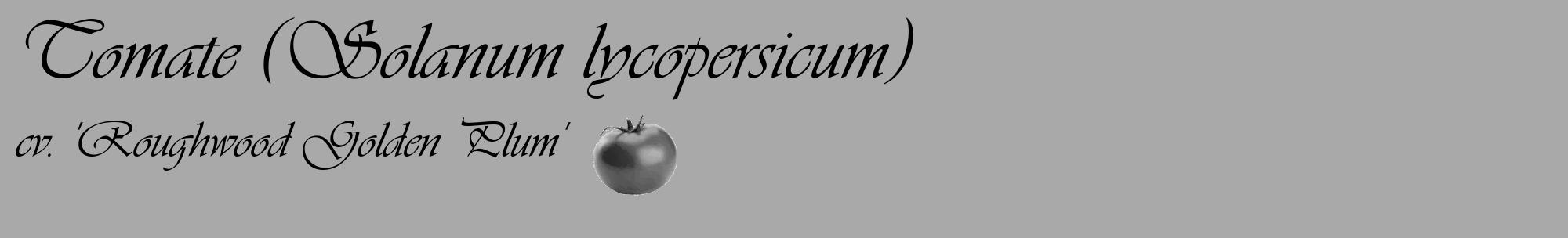 Étiquette de : Solanum lycopersicum cv. 'Roughwood Golden Plum' - format c - style noire13_basique_basiqueviv avec comestibilité simplifiée