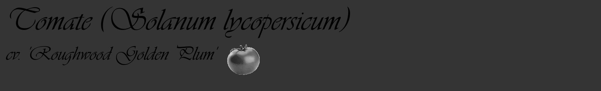 Étiquette de : Solanum lycopersicum cv. 'Roughwood Golden Plum' - format c - style noire46_basique_basiqueviv avec comestibilité simplifiée