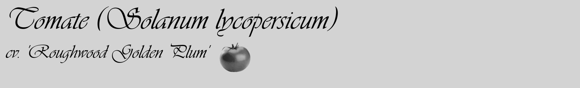 Étiquette de : Solanum lycopersicum cv. 'Roughwood Golden Plum' - format c - style noire56_basique_basiqueviv avec comestibilité simplifiée