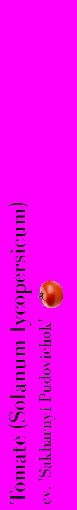 Étiquette de : Solanum lycopersicum cv. 'Sakharnyi Pudovichok' - format c - style noire51_basiquebod avec comestibilité simplifiée