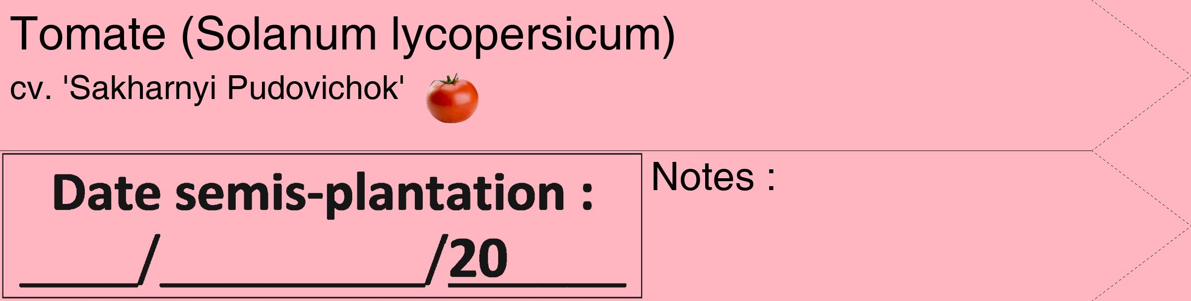 Étiquette de : Solanum lycopersicum cv. 'Sakharnyi Pudovichok' - format c - style noire41_simple_simplehel avec comestibilité simplifiée