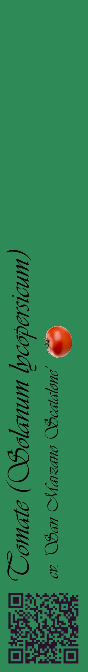 Étiquette de : Solanum lycopersicum cv. 'San Marzano Scatalone' - format c - style noire11_basiqueviv avec qrcode et comestibilité simplifiée