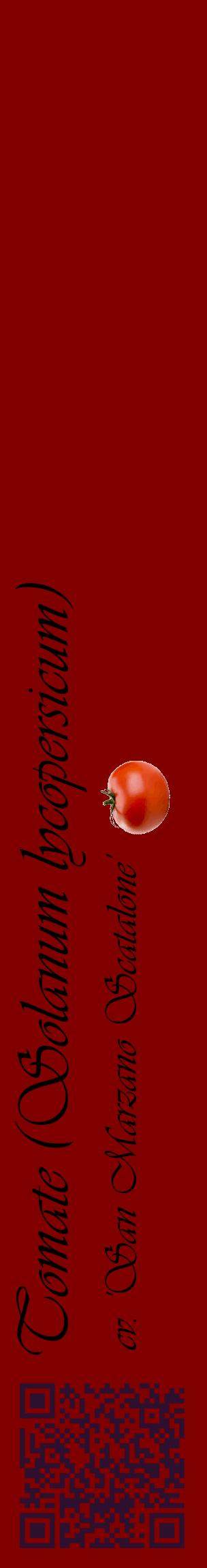 Étiquette de : Solanum lycopersicum cv. 'San Marzano Scatalone' - format c - style noire29_basiqueviv avec qrcode et comestibilité simplifiée