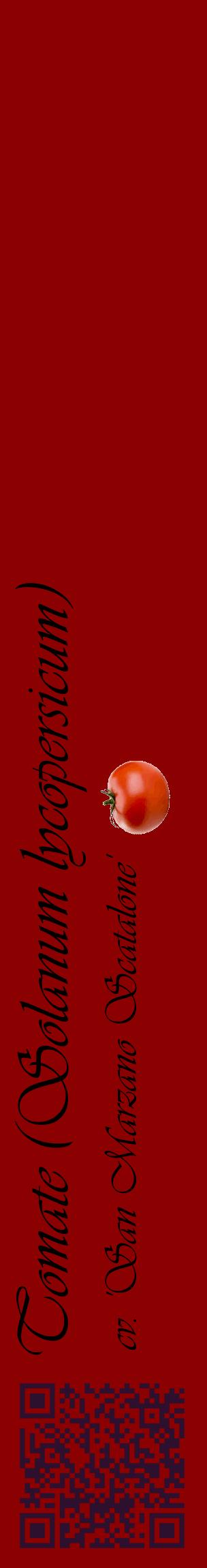 Étiquette de : Solanum lycopersicum cv. 'San Marzano Scatalone' - format c - style noire34_basiqueviv avec qrcode et comestibilité simplifiée