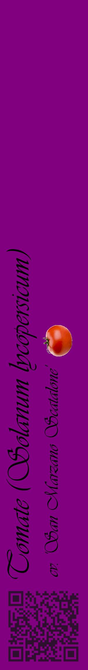 Étiquette de : Solanum lycopersicum cv. 'San Marzano Scatalone' - format c - style noire46_basiqueviv avec qrcode et comestibilité simplifiée