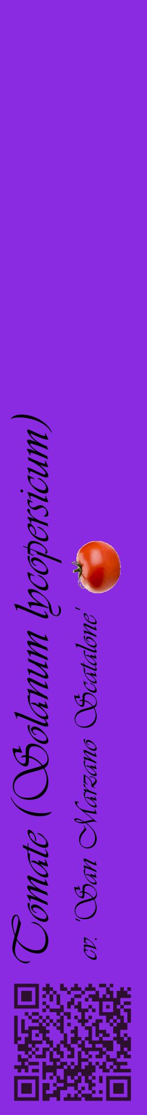 Étiquette de : Solanum lycopersicum cv. 'San Marzano Scatalone' - format c - style noire49_basiqueviv avec qrcode et comestibilité simplifiée