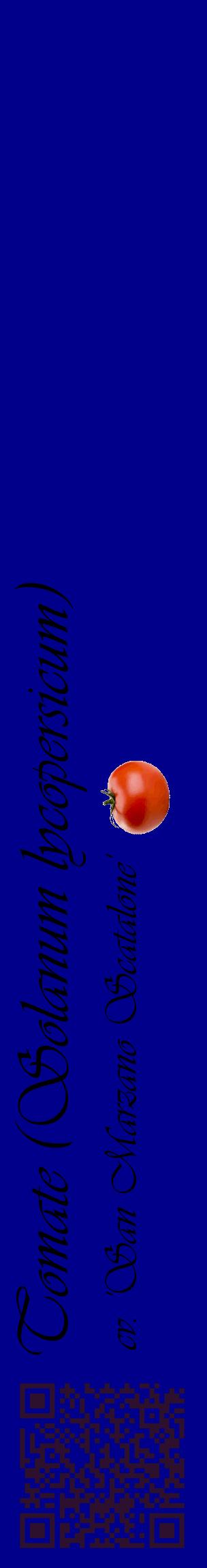 Étiquette de : Solanum lycopersicum cv. 'San Marzano Scatalone' - format c - style noire7_basiqueviv avec qrcode et comestibilité simplifiée