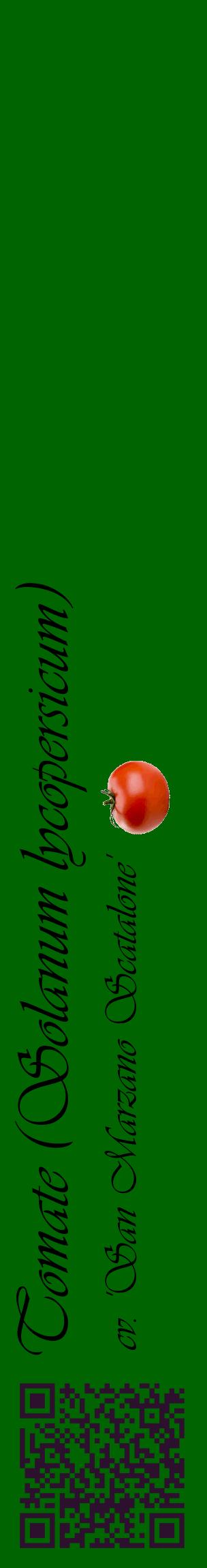 Étiquette de : Solanum lycopersicum cv. 'San Marzano Scatalone' - format c - style noire8_basiqueviv avec qrcode et comestibilité simplifiée