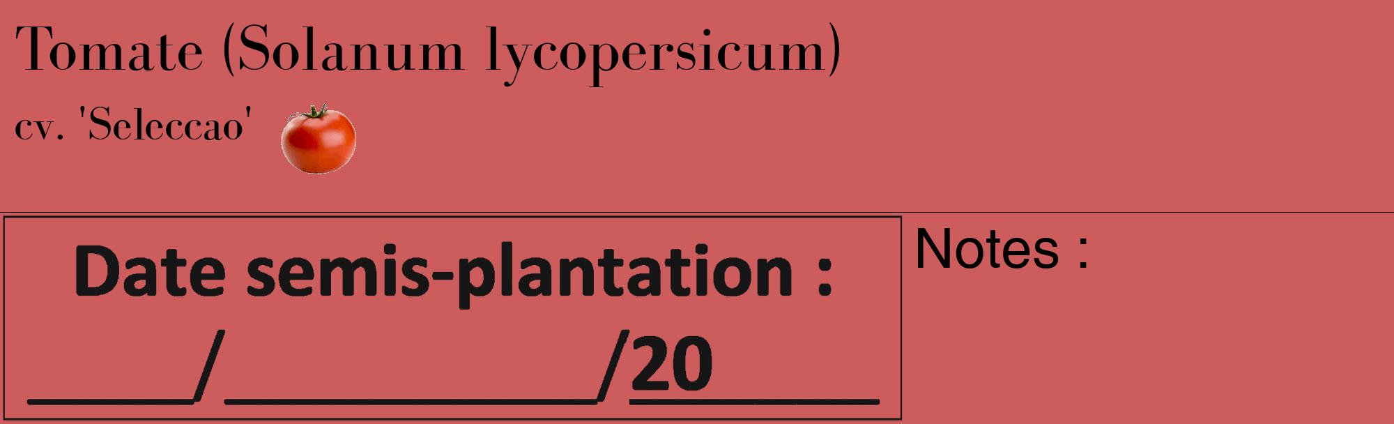 Étiquette de : Solanum lycopersicum cv. 'Seleccao' - format c - style noire35_basique_basiquebod avec comestibilité simplifiée
