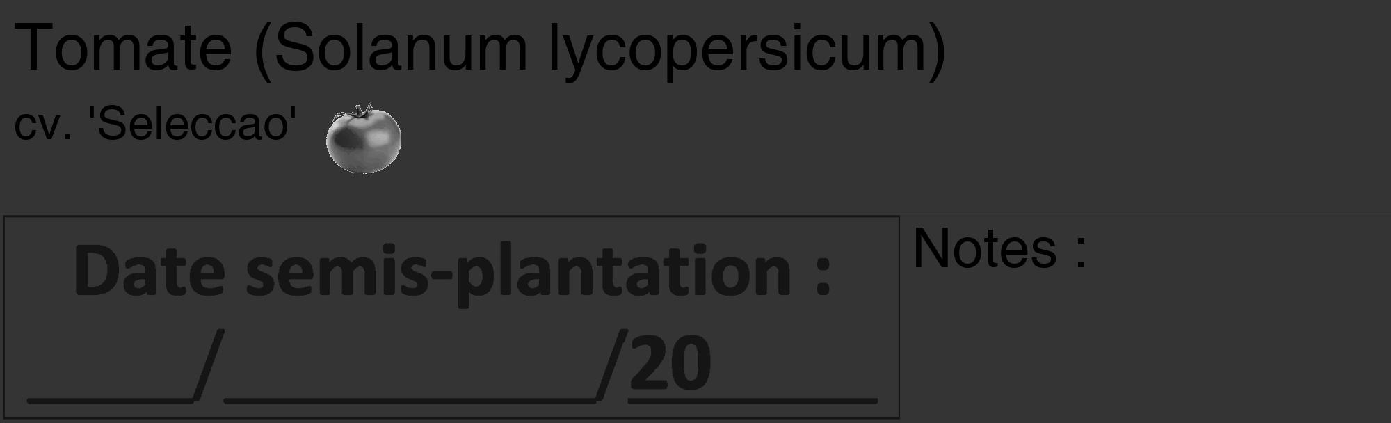Étiquette de : Solanum lycopersicum cv. 'Seleccao' - format c - style noire46_basique_basiquehel avec comestibilité simplifiée