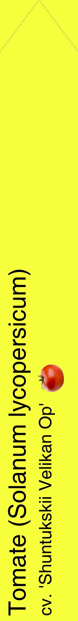 Étiquette de : Solanum lycopersicum cv. 'Shuntukskii Velikan Op' - format c - style noire18_simplehel avec comestibilité simplifiée