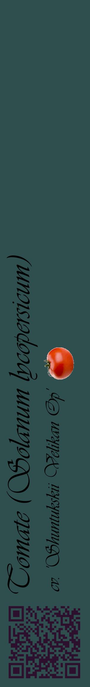 Étiquette de : Solanum lycopersicum cv. 'Shuntukskii Velikan Op' - format c - style noire58_basiqueviv avec qrcode et comestibilité simplifiée