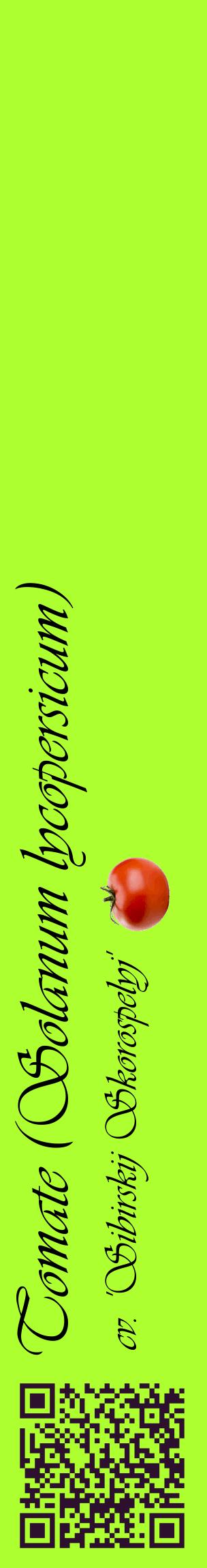 Étiquette de : Solanum lycopersicum cv. 'Sibirskij Skorospelyj' - format c - style noire17_basiqueviv avec qrcode et comestibilité simplifiée
