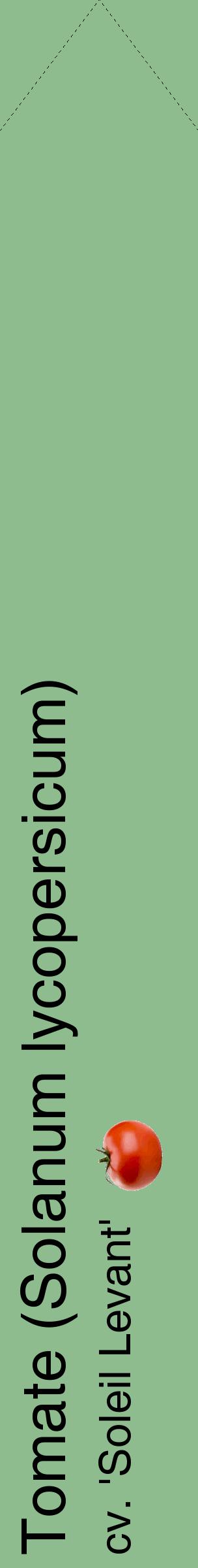 Étiquette de : Solanum lycopersicum cv. 'Soleil Levant' - format c - style noire13_simplehel avec comestibilité simplifiée