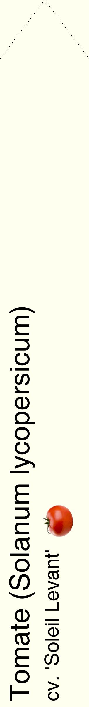 Étiquette de : Solanum lycopersicum cv. 'Soleil Levant' - format c - style noire19_simplehel avec comestibilité simplifiée