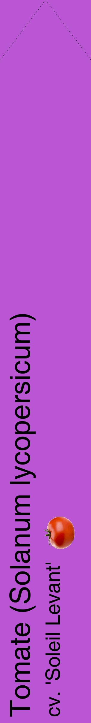 Étiquette de : Solanum lycopersicum cv. 'Soleil Levant' - format c - style noire50_simplehel avec comestibilité simplifiée