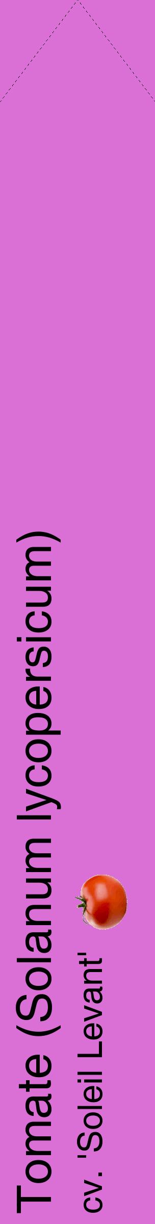 Étiquette de : Solanum lycopersicum cv. 'Soleil Levant' - format c - style noire52_simplehel avec comestibilité simplifiée