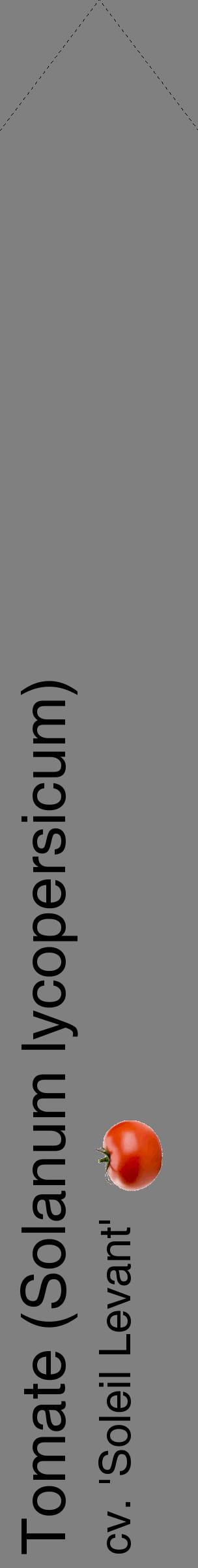Étiquette de : Solanum lycopersicum cv. 'Soleil Levant' - format c - style noire57_simplehel avec comestibilité simplifiée