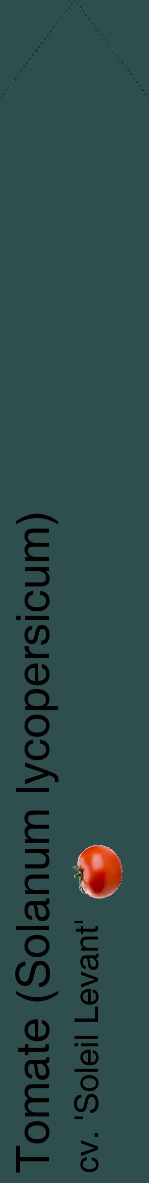 Étiquette de : Solanum lycopersicum cv. 'Soleil Levant' - format c - style noire58_simplehel avec comestibilité simplifiée