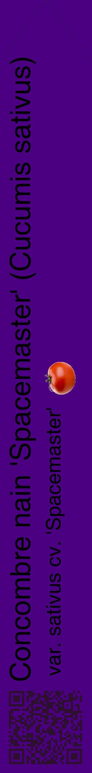 Étiquette de : Cucumis sativus var. sativus cv. 'Spacemaster' - format c - style noire47_simplehel avec qrcode et comestibilité simplifiée