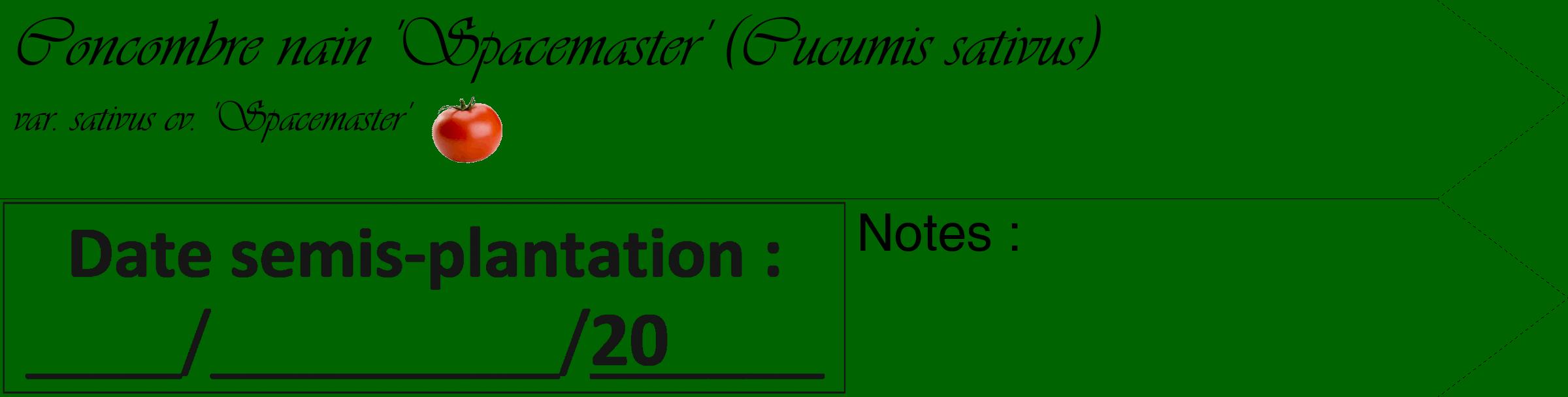 Étiquette de : Cucumis sativus var. sativus cv. 'Spacemaster' - format c - style noire8_simple_simpleviv avec comestibilité simplifiée