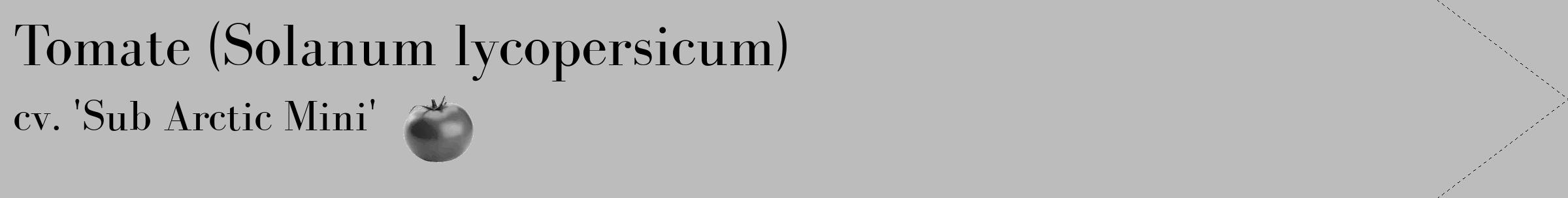 Étiquette de : Solanum lycopersicum cv. 'Sub Arctic Mini' - format c - style noire1_simple_simplebod avec comestibilité simplifiée