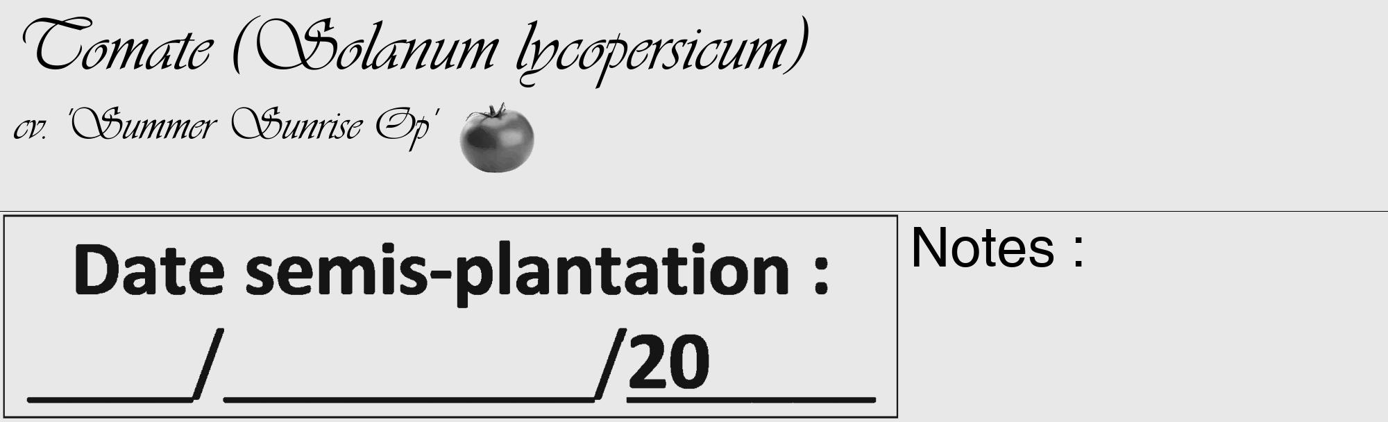 Étiquette de : Solanum lycopersicum cv. 'Summer Sunrise Op' - format c - style noire55_basique_basiqueviv avec comestibilité simplifiée